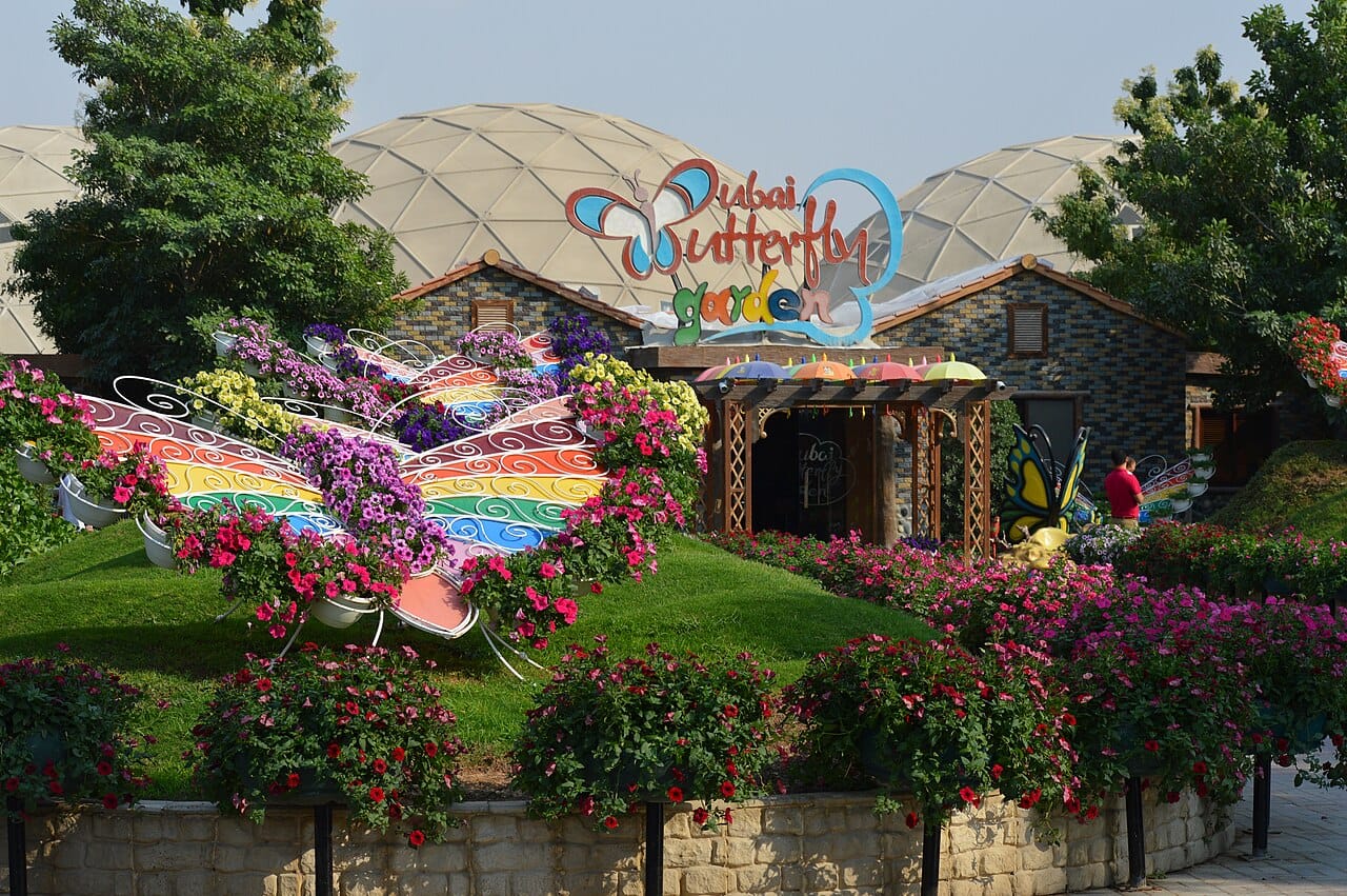 Dubai Butterfly Garden nebenan