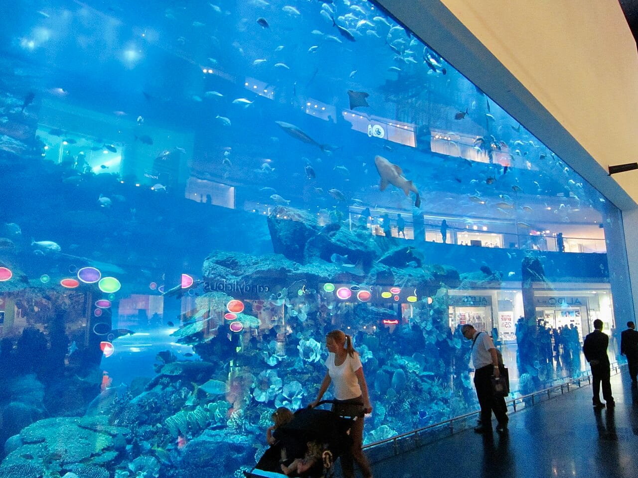 Les aquariums et les après-midis indoor