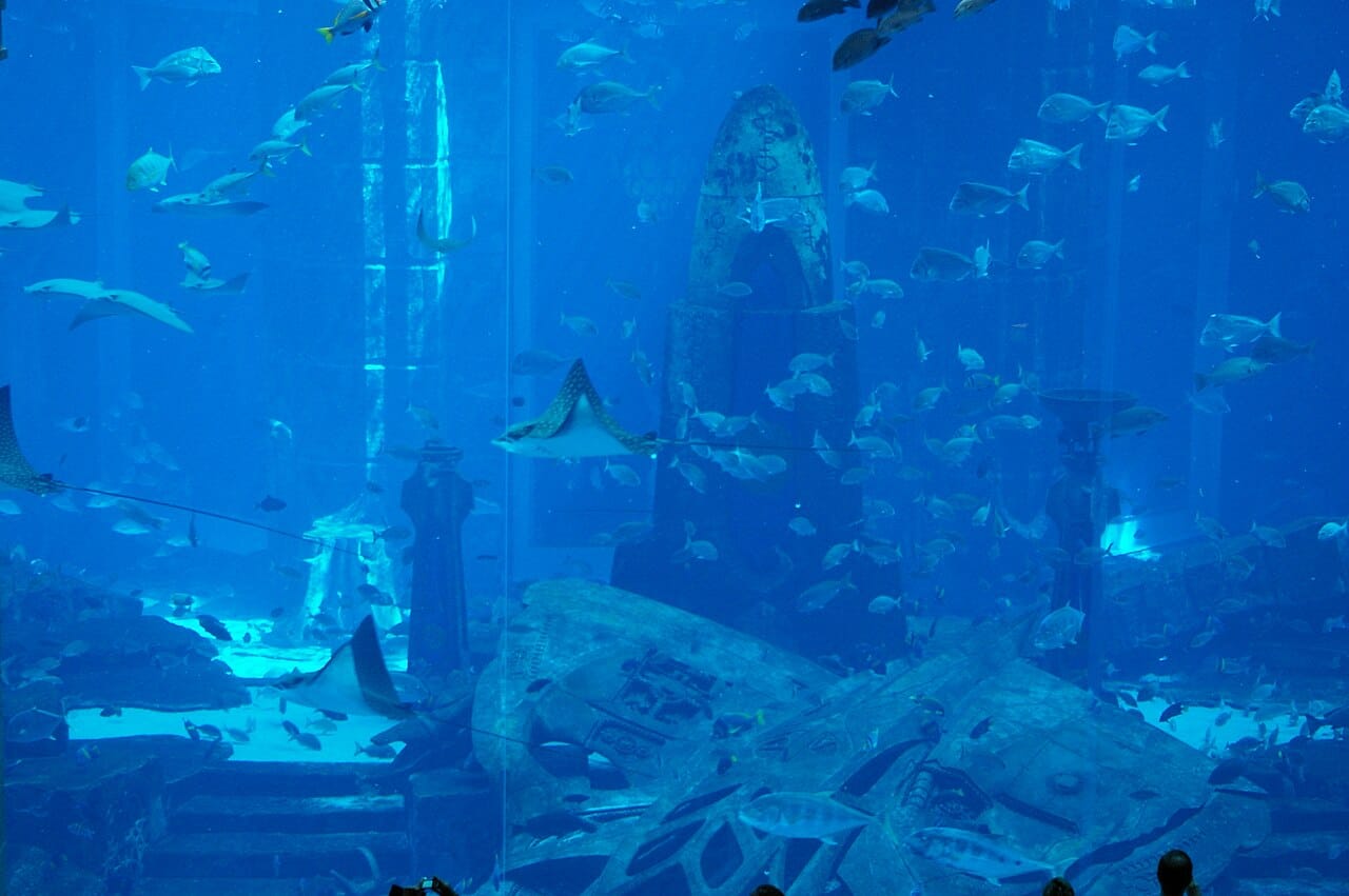 Das Lost Chambers Aquarium