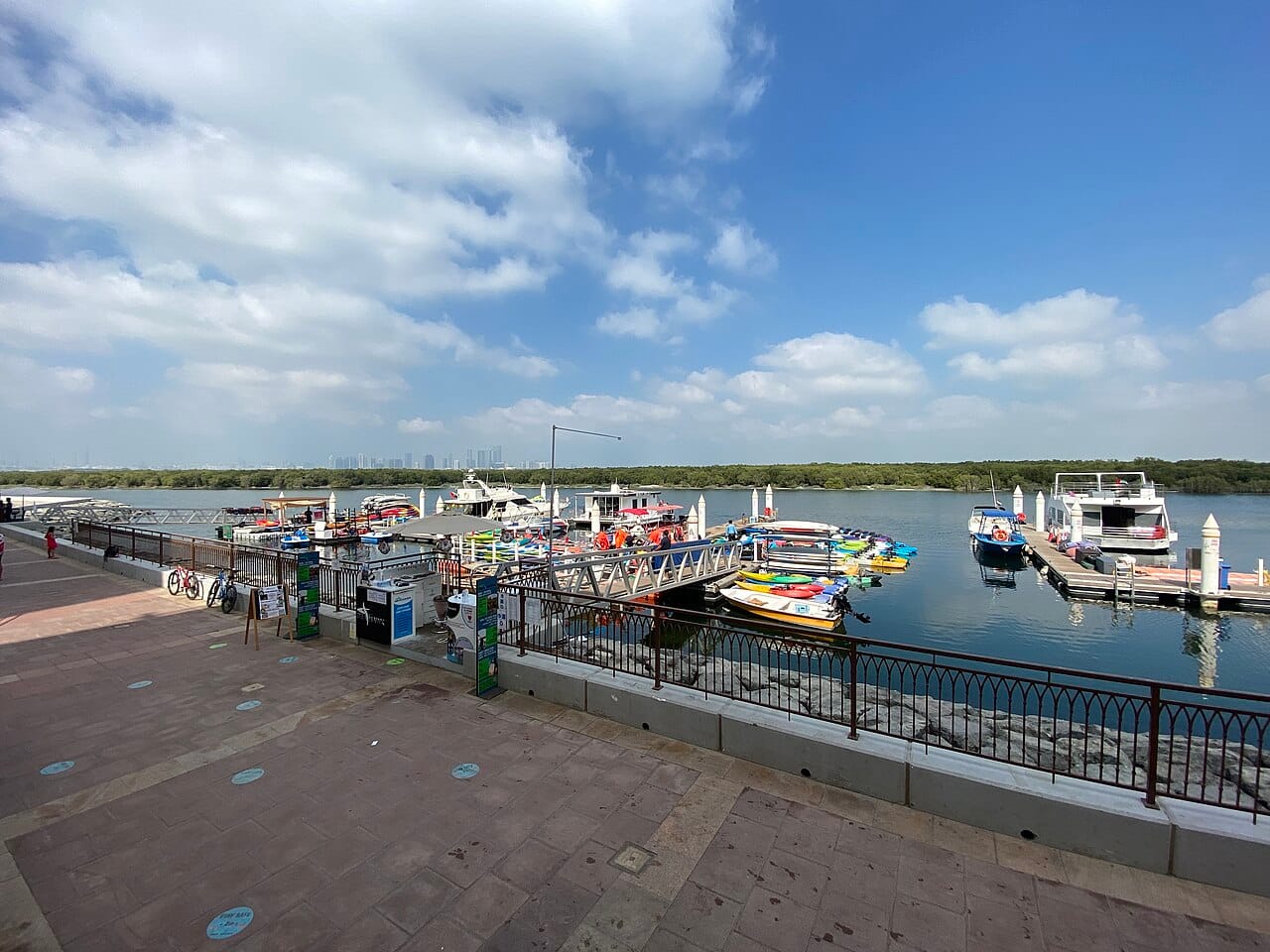 Umm Al Quwain and Abu Dhabi mangroves