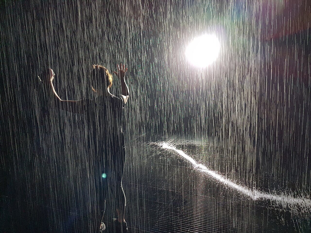 The Rain Room and the Sharjah Art Foundation